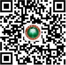 相关阅读