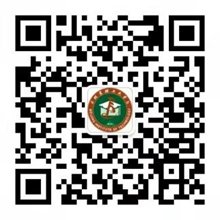 实施了与国际接轨