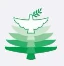 亲爱的同学们：